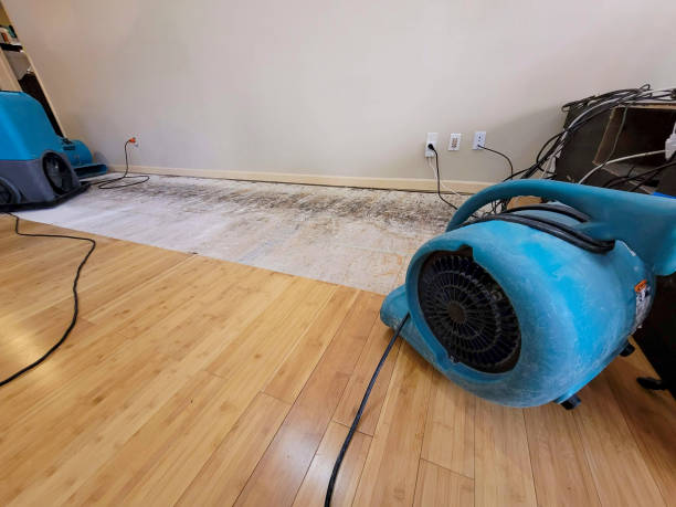 Professional Water Damage Repair technician working in D Lo, MS